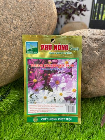  Hạt giống hoa sao nhái đơn mix PN 06 