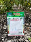  Hạt giống củ cải trắng PN 700 