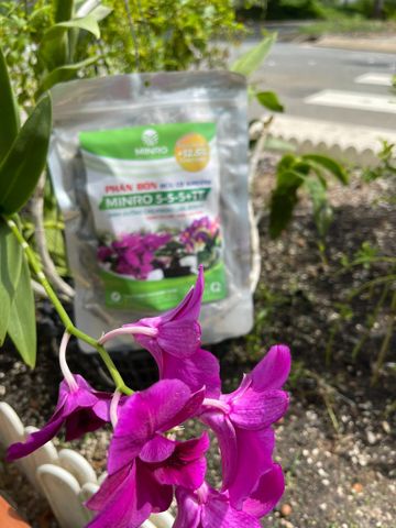  Phân bón hữu cơ khoáng Minro 5-5-5+TE ( 36 túi lưới) 