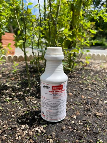  Phân cá Fish Emulsion 