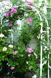  Khung vòm cổng trồng hoa hồng cao 210cm 
