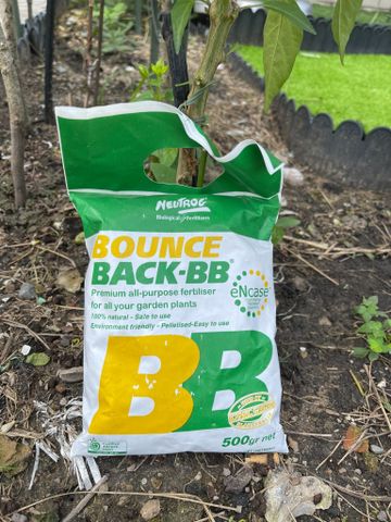  Phân hữu cơ Úc đậm đặc dạng viên BOUNCE BACK 500gram 