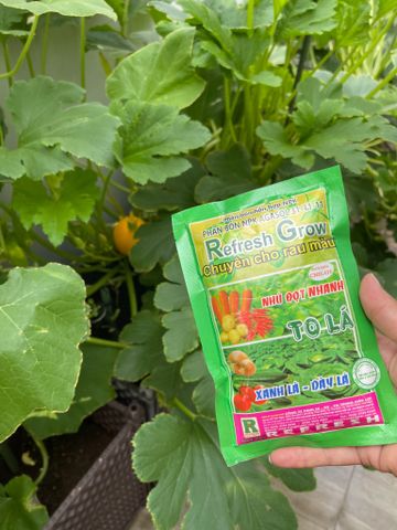  Phân bón NPK Agasol 31-11-11 