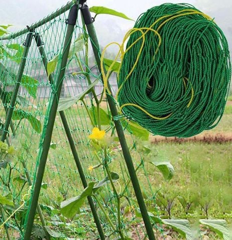  Lưới leo giàn hàng xuất khẩu bền trên 5 năm Daim 