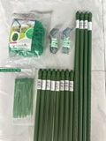  Bộ giàn leo ống thép bọc nhựa phi 16 Daim KHÔNG BAO GỒM CHẬU 