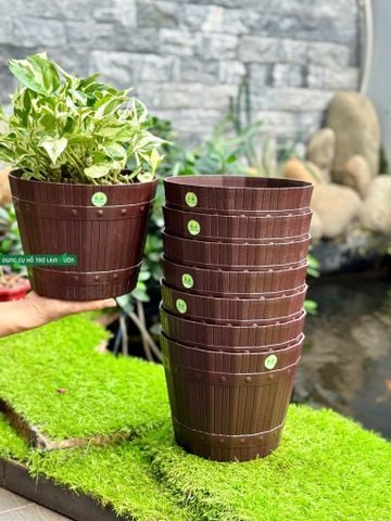  Chậu nhựa trồng cây KT 22x22x17cm màu nâu nhựa Duy Tân 