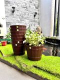  Chậu nhựa trồng cây KT 22x22x17cm màu nâu nhựa Duy Tân 