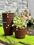  Chậu nhựa trồng cây KT 22x22x17cm màu nâu nhựa Duy Tân 