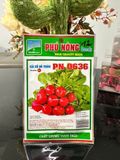  Hạt giống cải củ đỏ tròn PN 0636 