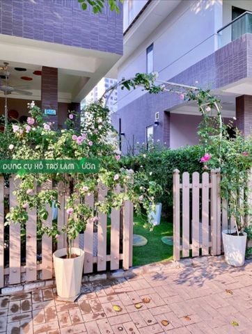  Khung vòm cổng hoa hồng leo cao 210cm Daim 