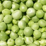  Peas Freeze Dried Dehydrated Survival Food 