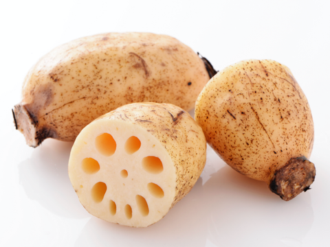 レンコン - Lotus root