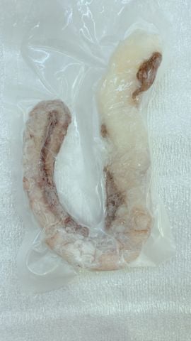 刺し身用タコ 100g  ※少し水洗いをして、お召し上がりください