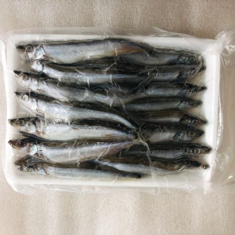 ししゃも 500g ノルウェー産 ※雄雌半分づつ入ってます
