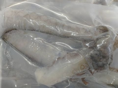 生食用タコ 100g  ※サイズ約1キロで小さめです - Sashimi Octopus