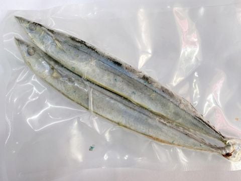 秋刀魚 台湾産 - Sanma