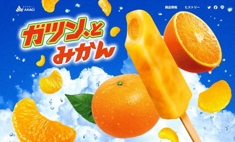 ガツン、とみかん  ※賞味期限11月28日賞味期限超過のため特別価格！安全に配慮し冷凍保管していますが、風味の低下がある場合がございます。ご理解のうえお選びください。