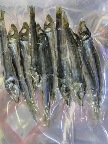 ホタレイワシの丸干し 高知県産 10尾入り