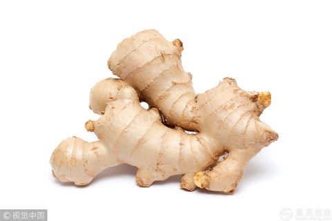 生姜- Ginger