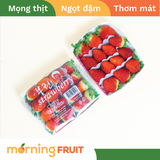  Hộp quà Tết dâu Hàn Quốc Joy Farm 