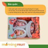  Nho mẫu đơn đỏ Sunny Dolce Hàn Quốc 