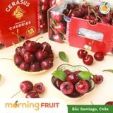  Cherry đỏ Chile 