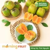  Hồng Da Tre Thái Nguyên 