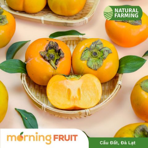  Hồng giòn Fuji Đà Lạt 