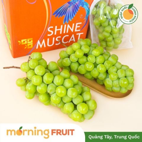  Nho mẫu đơn nội địa Trung 