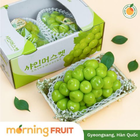  Nho mẫu đơn Hàn Quốc 