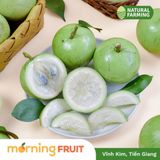  Vú sữa Lò Rèn 