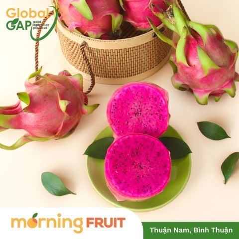  Thanh long ruột đỏ 