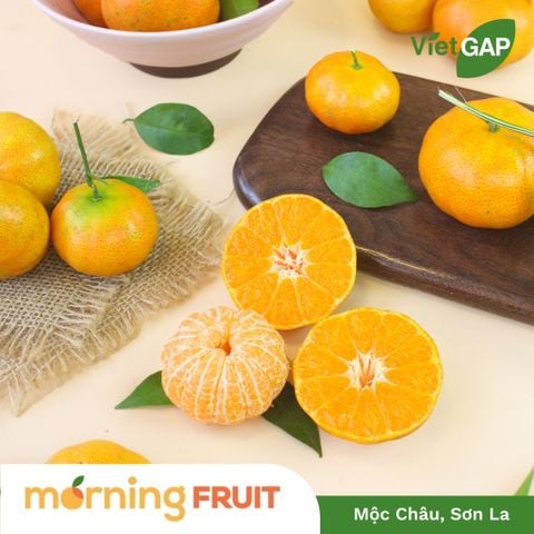  Quýt đường canh 