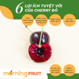  Cherry đỏ New Zealand 