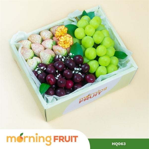  Hộp quà trái cây HQ063 
