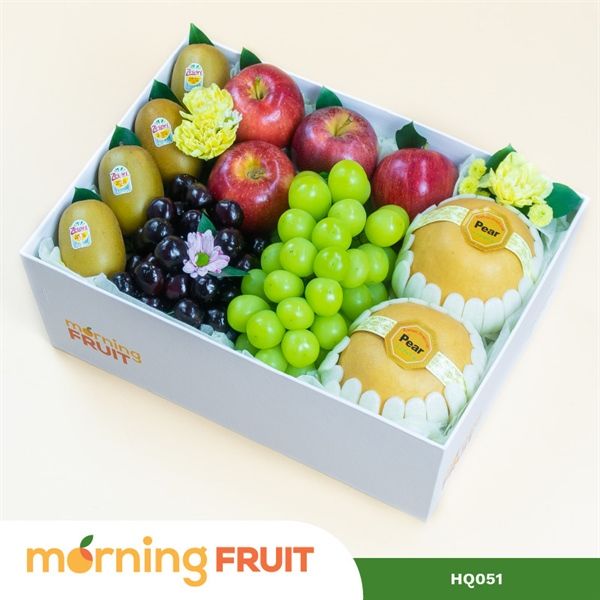  Hộp quà trái cây HQ051 