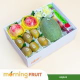  Hộp quà trái cây HQ043 