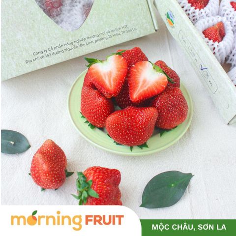  Dâu tây Mộc Châu (hộp 500GR) 