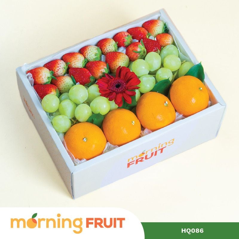 Hộp quà trái cây HQ086 