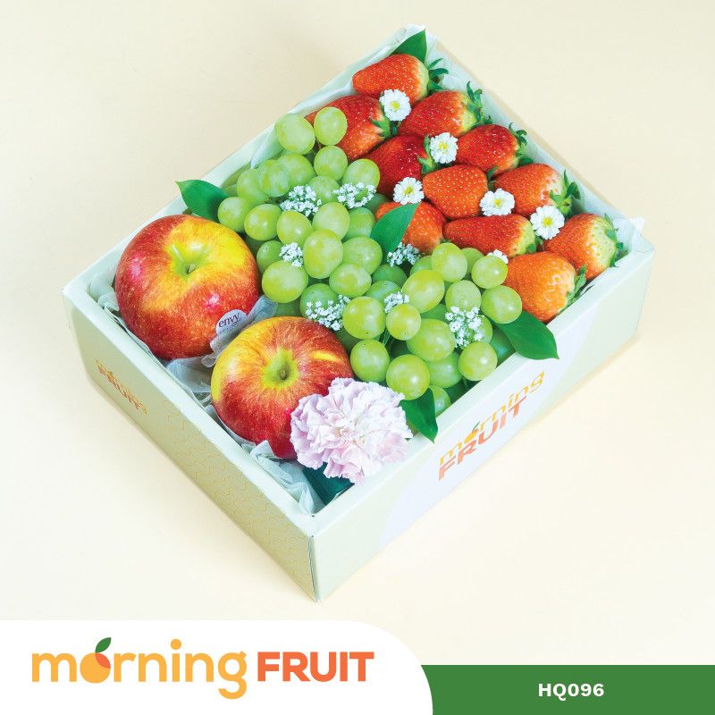  Hộp quà trái cây HQ096 
