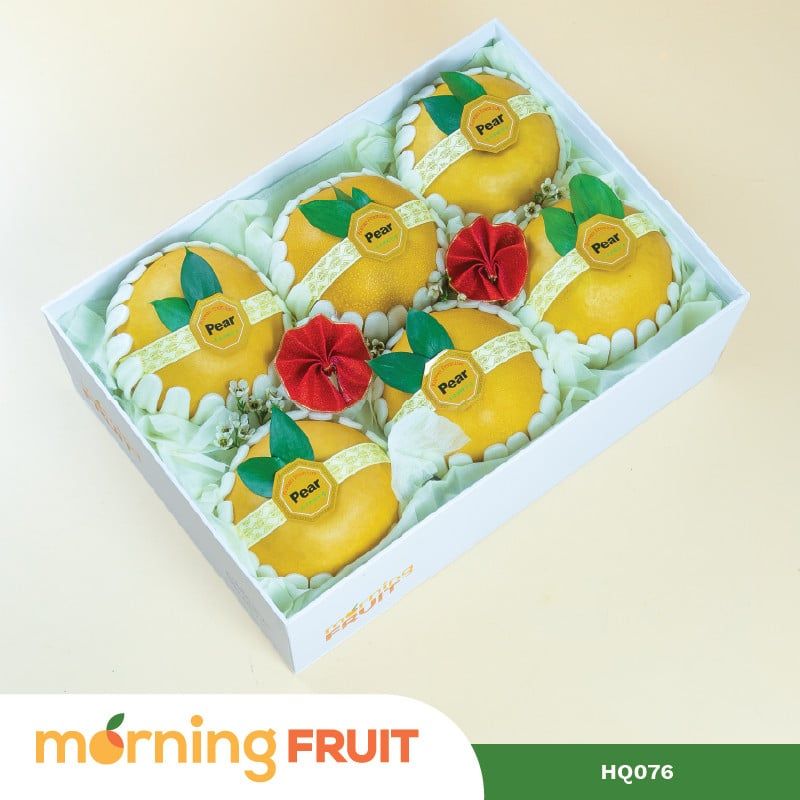  Hộp quà trái cây HQ076 