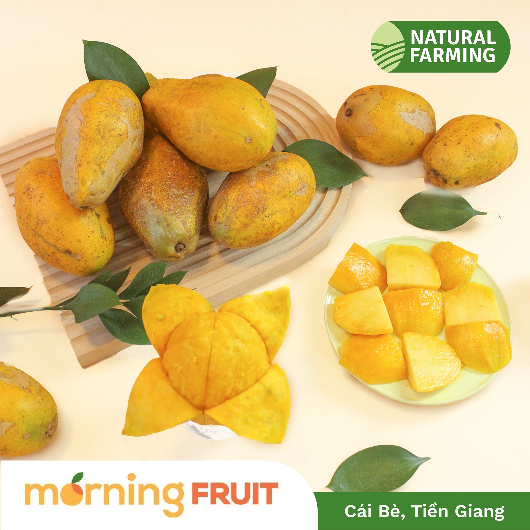 Cóc chín – Morning Fruit - Trái Cây Chất Lượng Cao