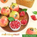  Lựu Tứ Xuyên 