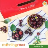  Cherry đỏ Úc 