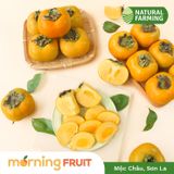  Hồng giòn Fuyu Mộc Châu 
