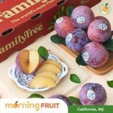  Mận đỏ Mỹ 
