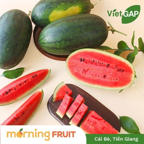  Dưa hấu có hạt 