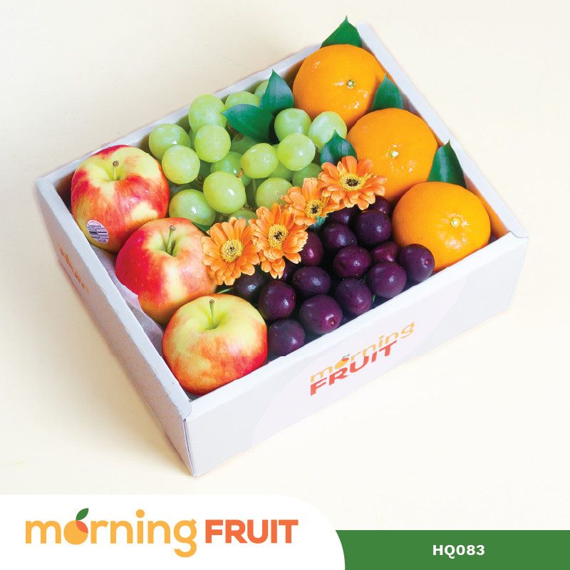  Hộp quà trái cây HQ087 