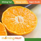  Quýt đường canh 