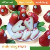  Mận An Phước 